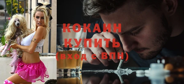молекула духа Дубна